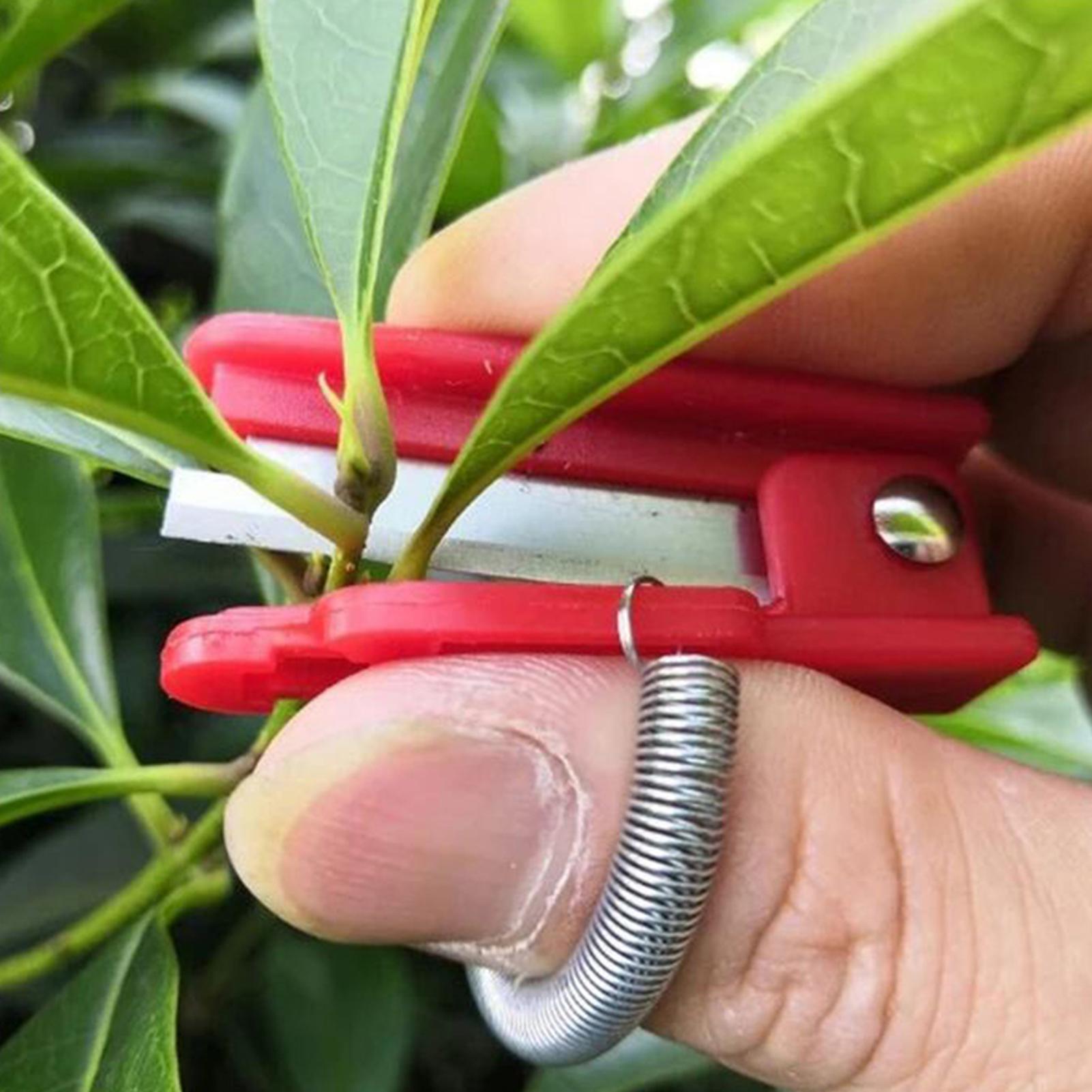 Harvest Knife Garden - Multifunctioneel duimmesje, tuinsnoeier, fruitplukapparaat, veilig fruitmes,