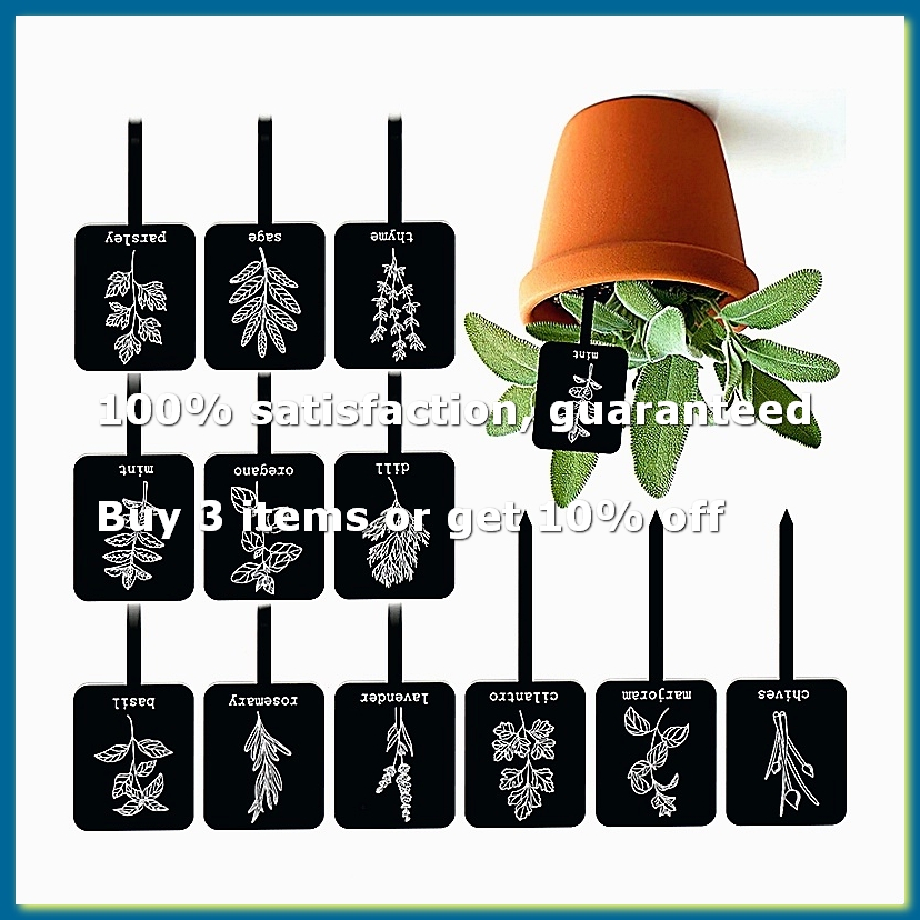 Gardening Tools With Names - 24 stuks acryl plantenlabelborden 12 stijlen