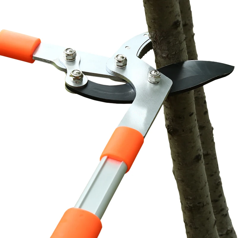 Gardening Tools German - Lange Lengte Schaar Heg Aambeeld Shear