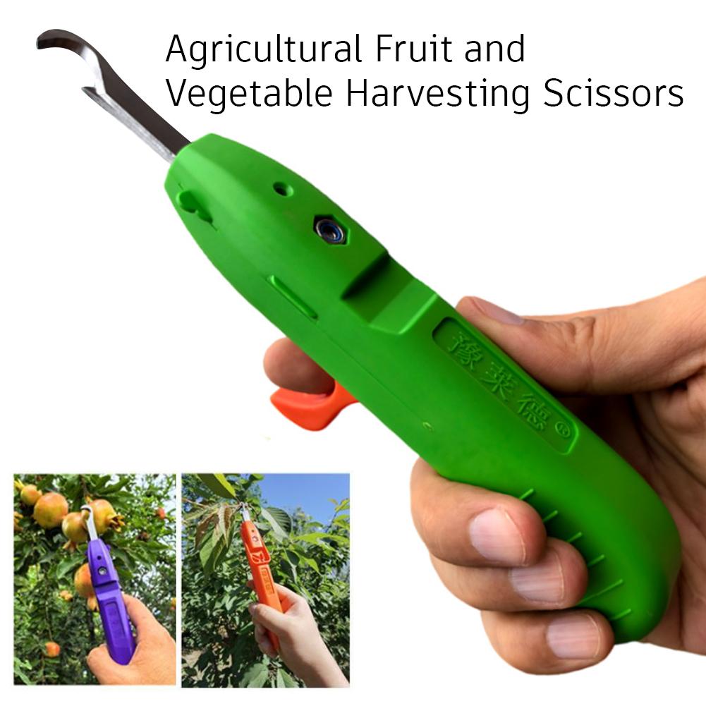 Snoeischaren voor tuinieren, l - Gardening Tools Scissors recensie en prijs
