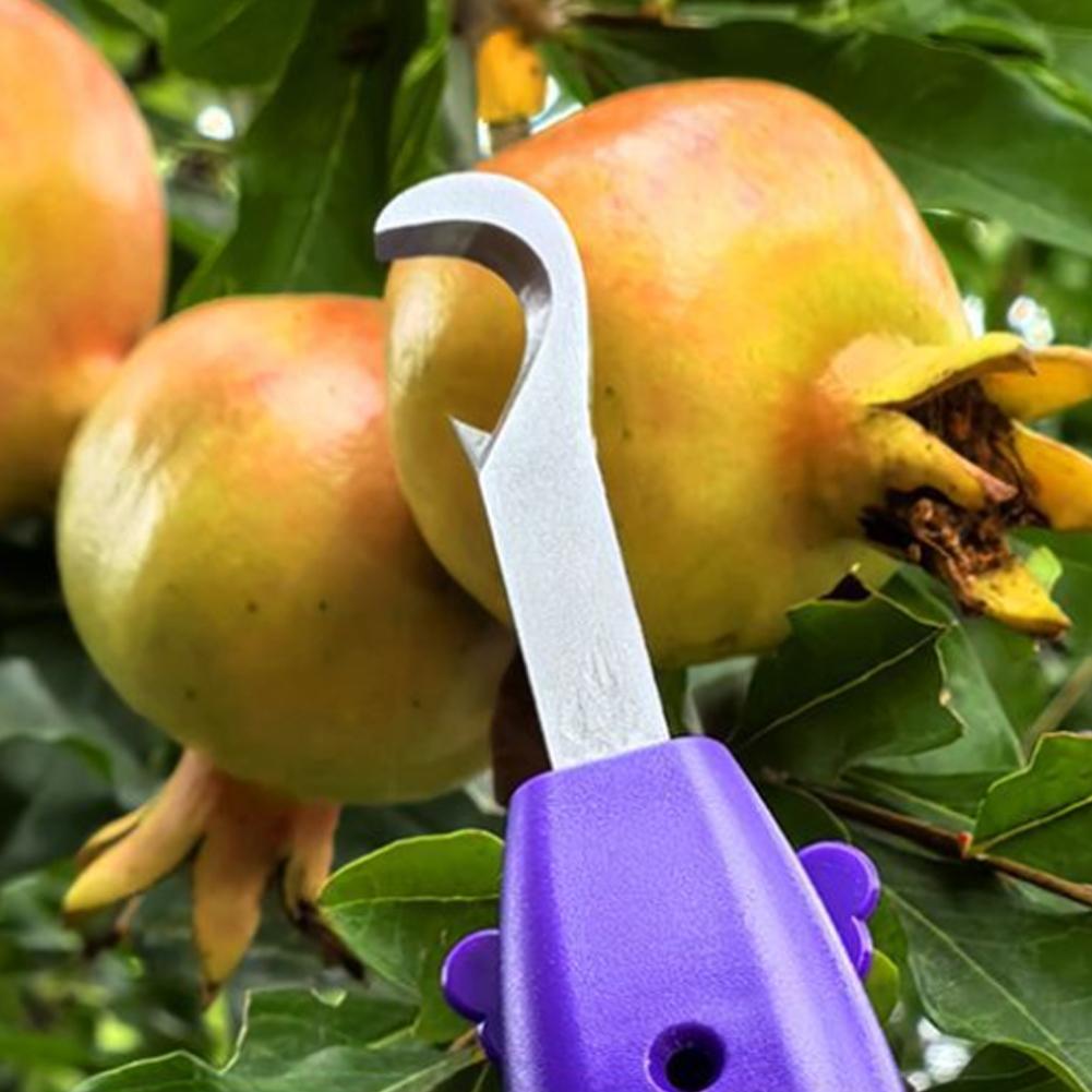Snoeischaren voor tuinieren, l - Gardening Tools Scissors recensie en prijs