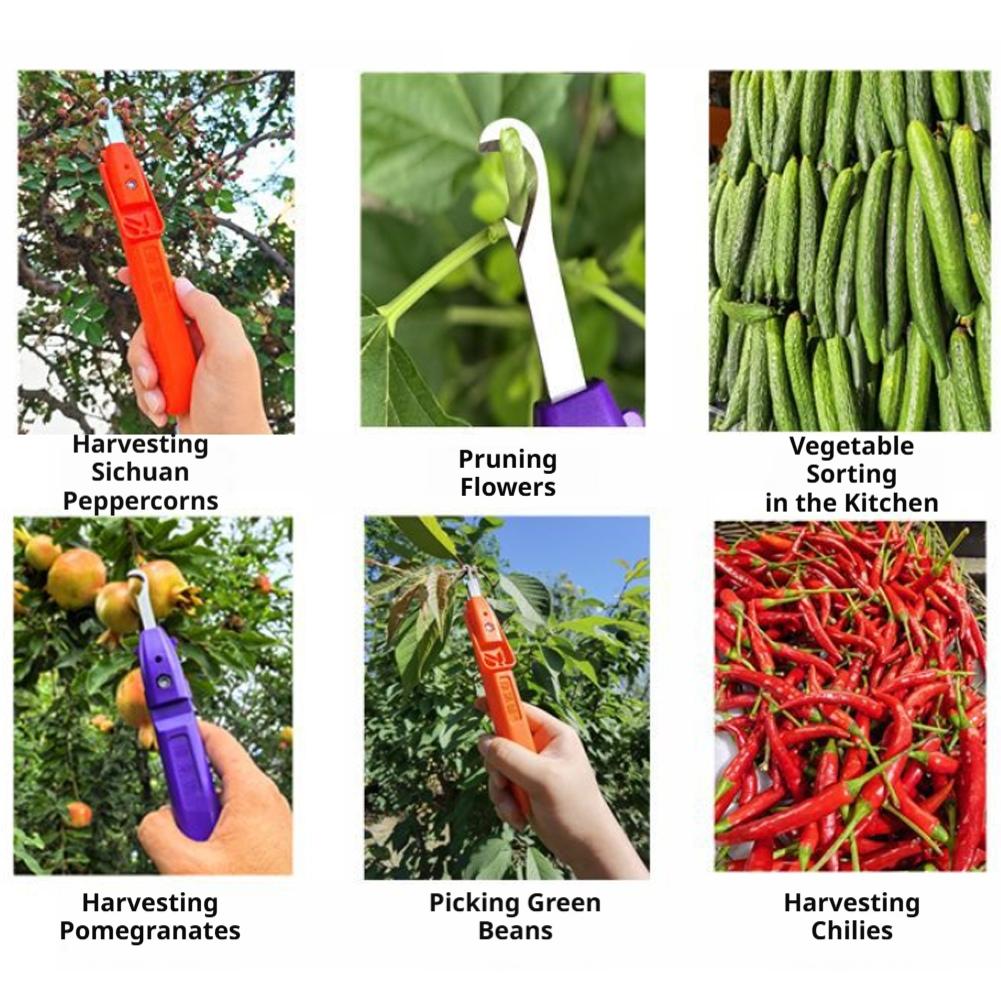 Snoeischaren voor tuinieren, l - Gardening Tools Scissors recensie en prijs