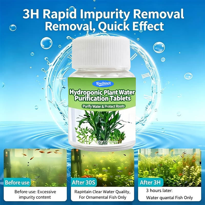 Hydroponische waterzuiveringst - Aquaponics Fish Tank recensie en prijs