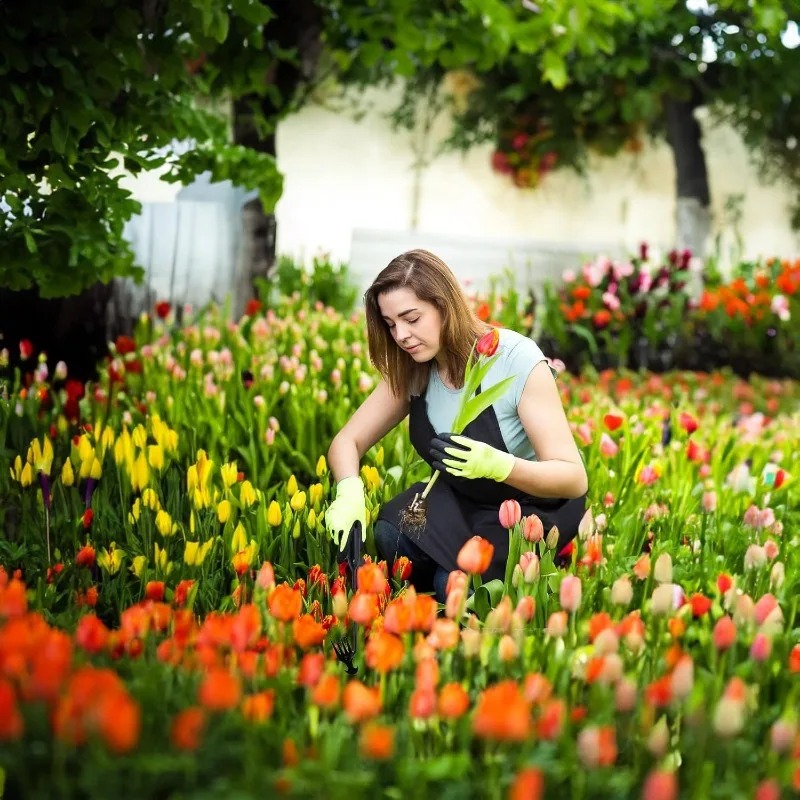 2-in-1 Tuinhark Handmatige Zaa - Gardening Tools Shovel recensie en prijs