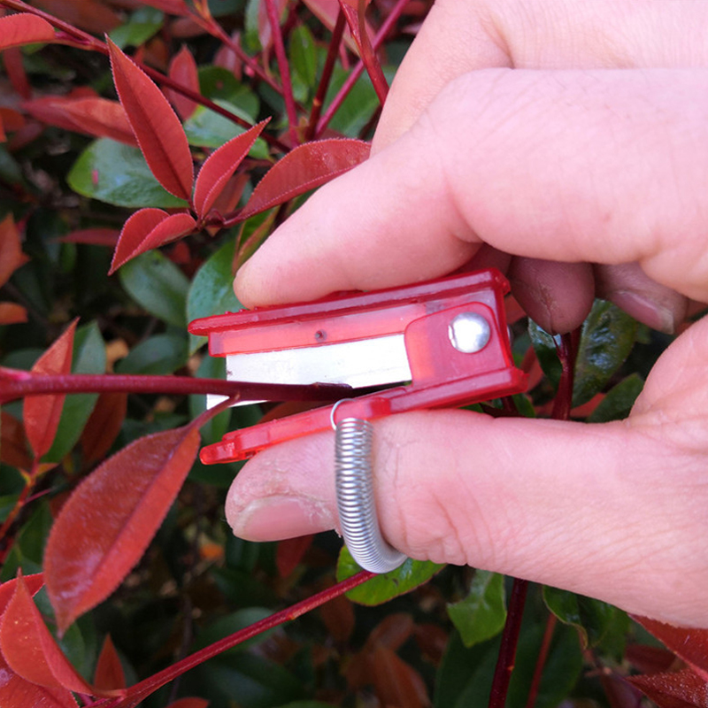 1/2/3pcs Groente Thump Mes Sep - Harvest Knife Garden recensie en prijs