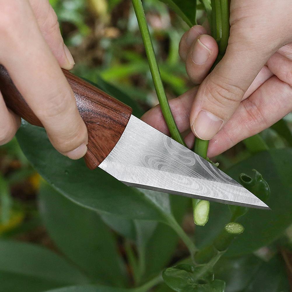 Transplantatiemes, entenmes, e - Harvest Knife Garden recensie en prijs