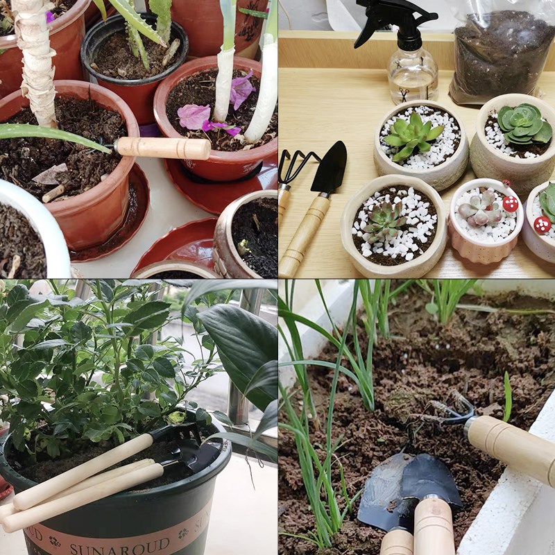 3-delige mini-tuinwerktuigset  - Gardening Tools Shovel recensie en prijs