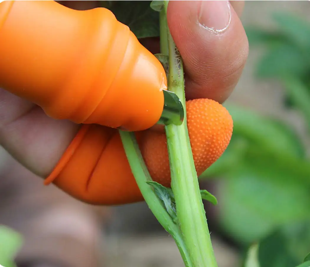 Tuinieren Siliconen Duimmesbes - Harvest Knife Garden recensie en prijs