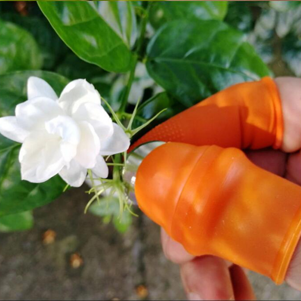 Tuin siliconen duimmes met ant - Harvest Knife Garden recensie en prijs