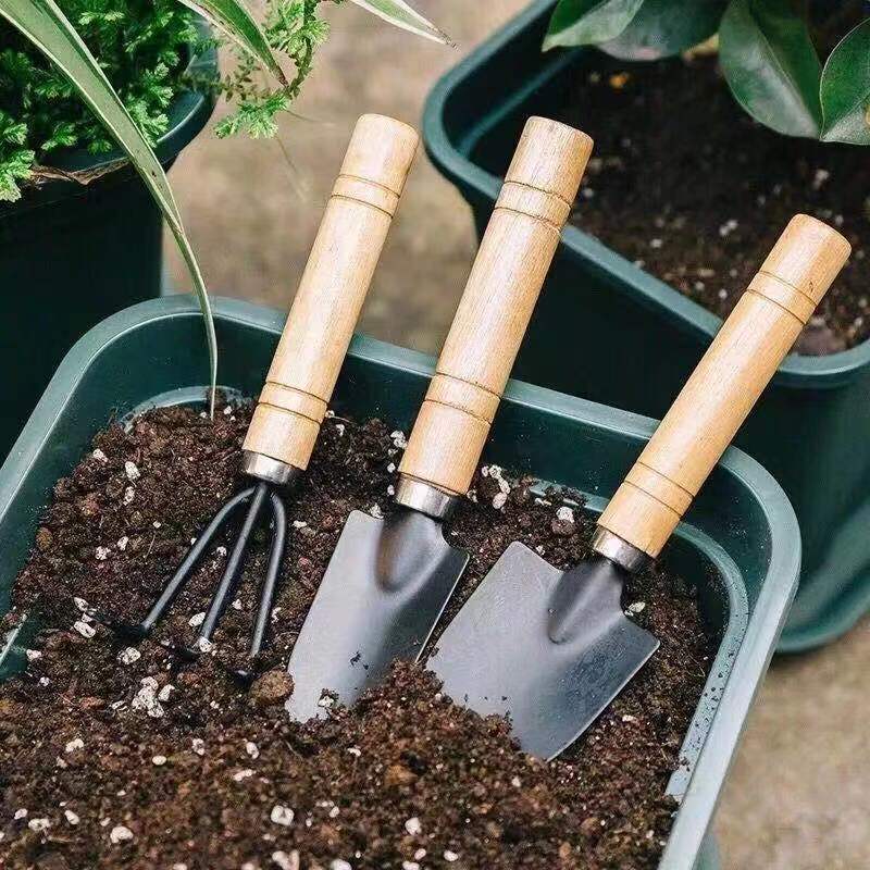 3PC/1Set Mini Tuingereedschap  - Gardening Tools Shovel recensie en prijs