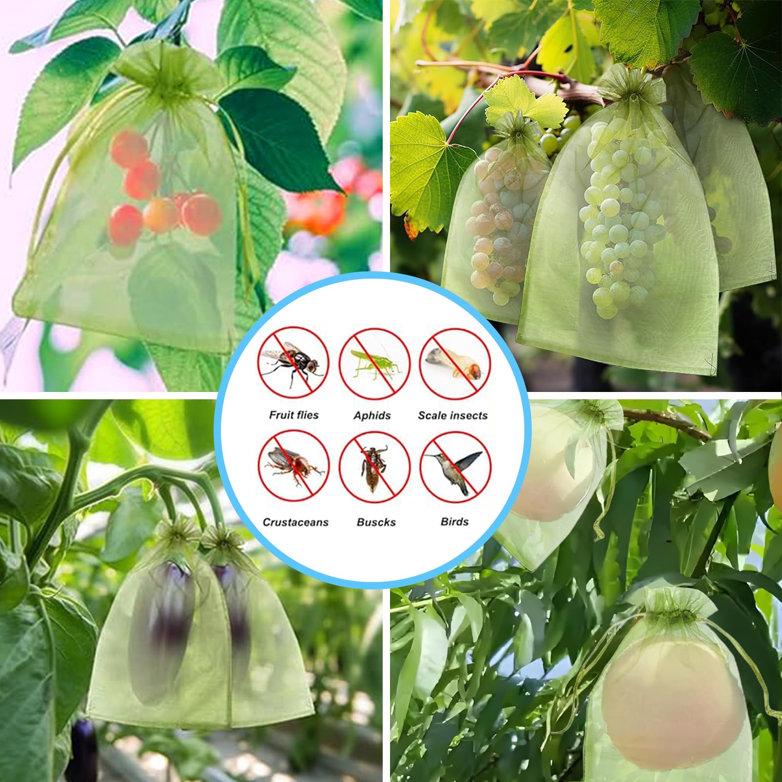 Effectieve anti-vogelnetten, f - Gardening Tools Bag recensie en prijs