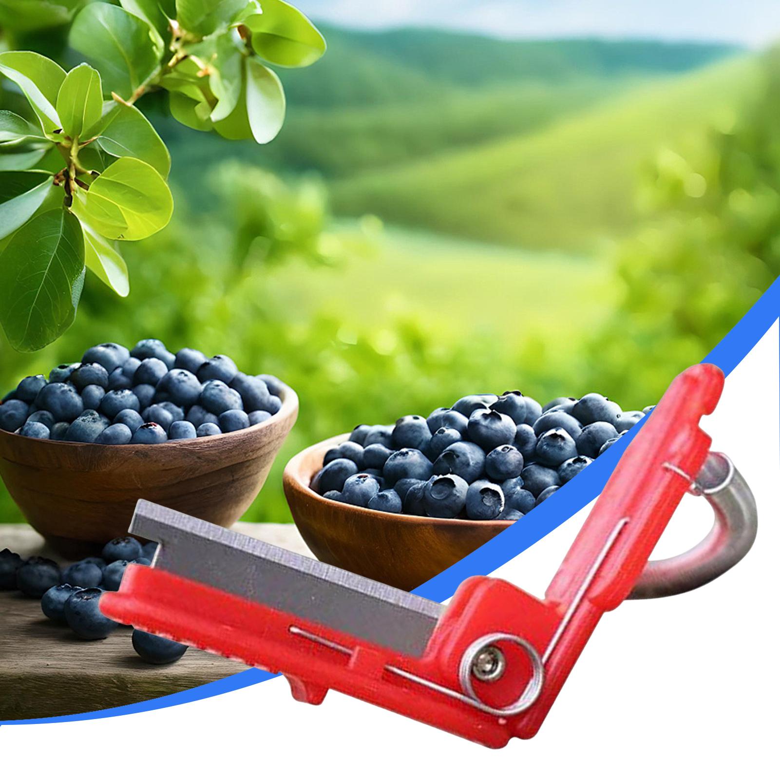 Multifunctioneel duimmesje, tu - Harvest Knife Garden recensie en prijs