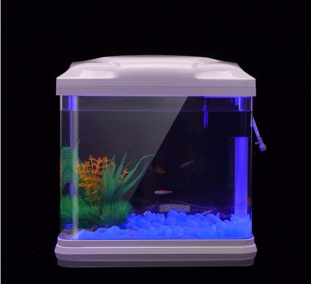 Aquarium Rotsen Glow Blue Kiez - Aquaponics Fish Tank recensie en prijs