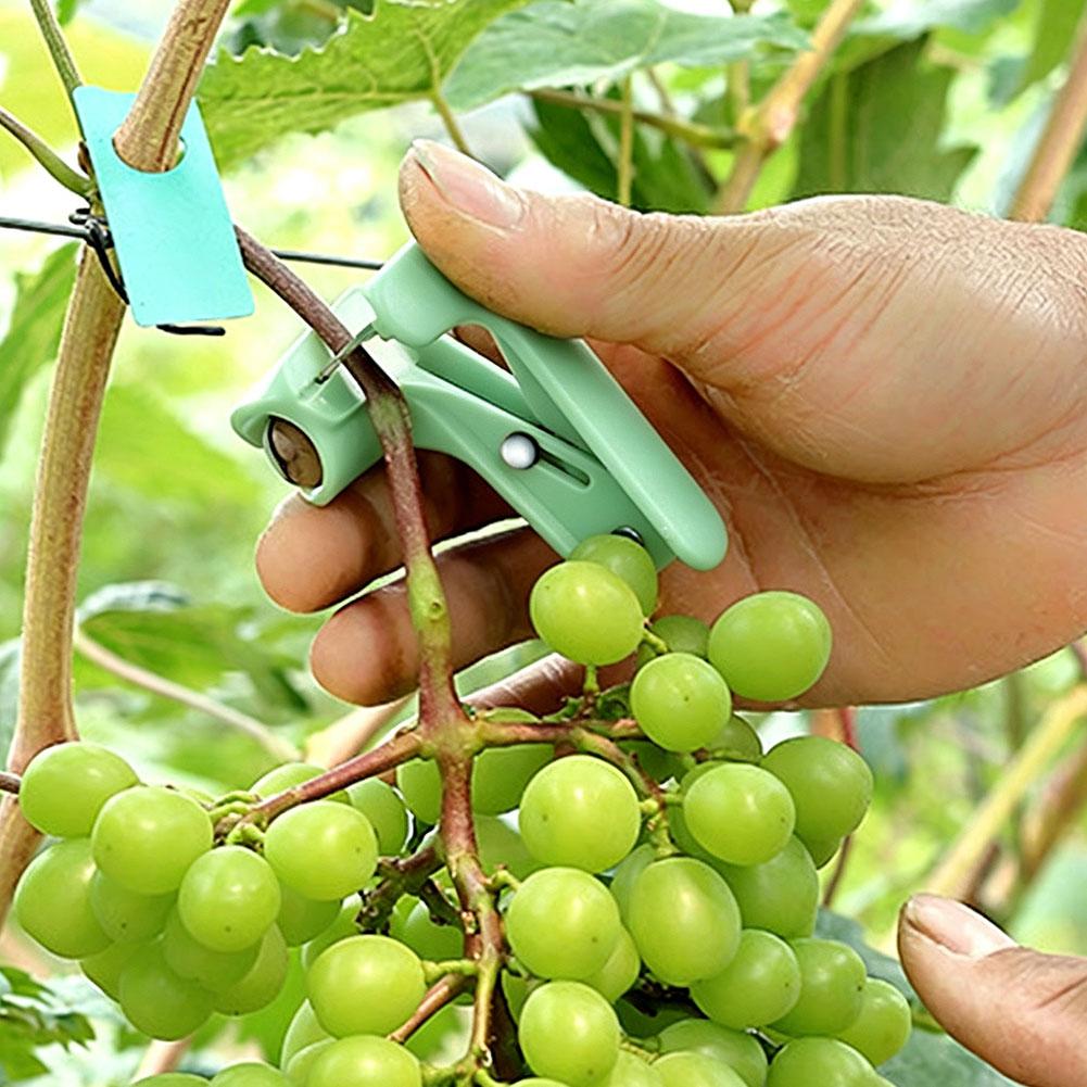 Multifunctioneel duimmes, tuin - Harvest Knife Garden recensie en prijs