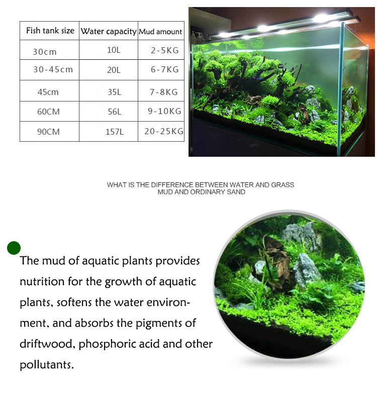 Aquarium Plant Zaden Bodem Fis - Aquaponics Fish Tank recensie en prijs