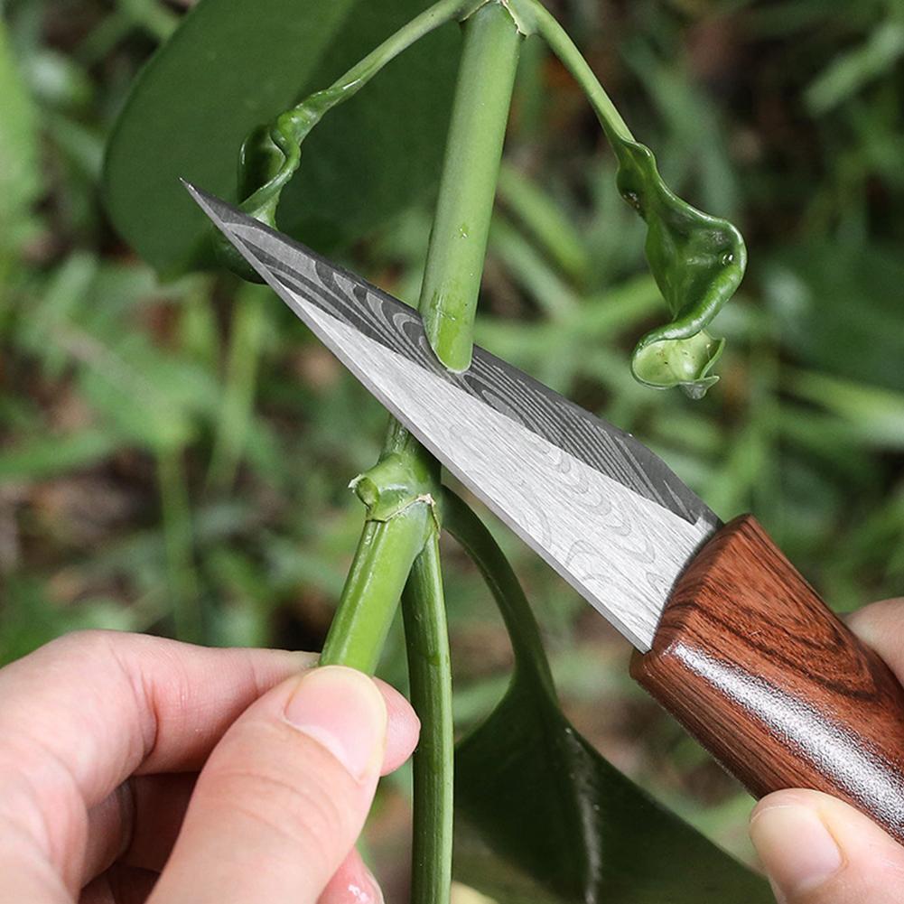 Scherp entmes met houten handv - Harvest Knife Garden recensie en prijs