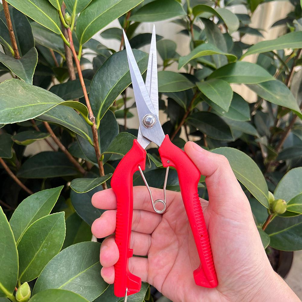 Pro Garden snoeischaar Verleng - Gardening Tools Scissors recensie en prijs