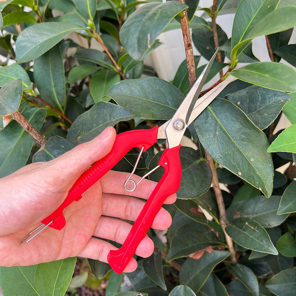 Pro Garden snoeischaar Verleng - Gardening Tools Scissors recensie en prijs