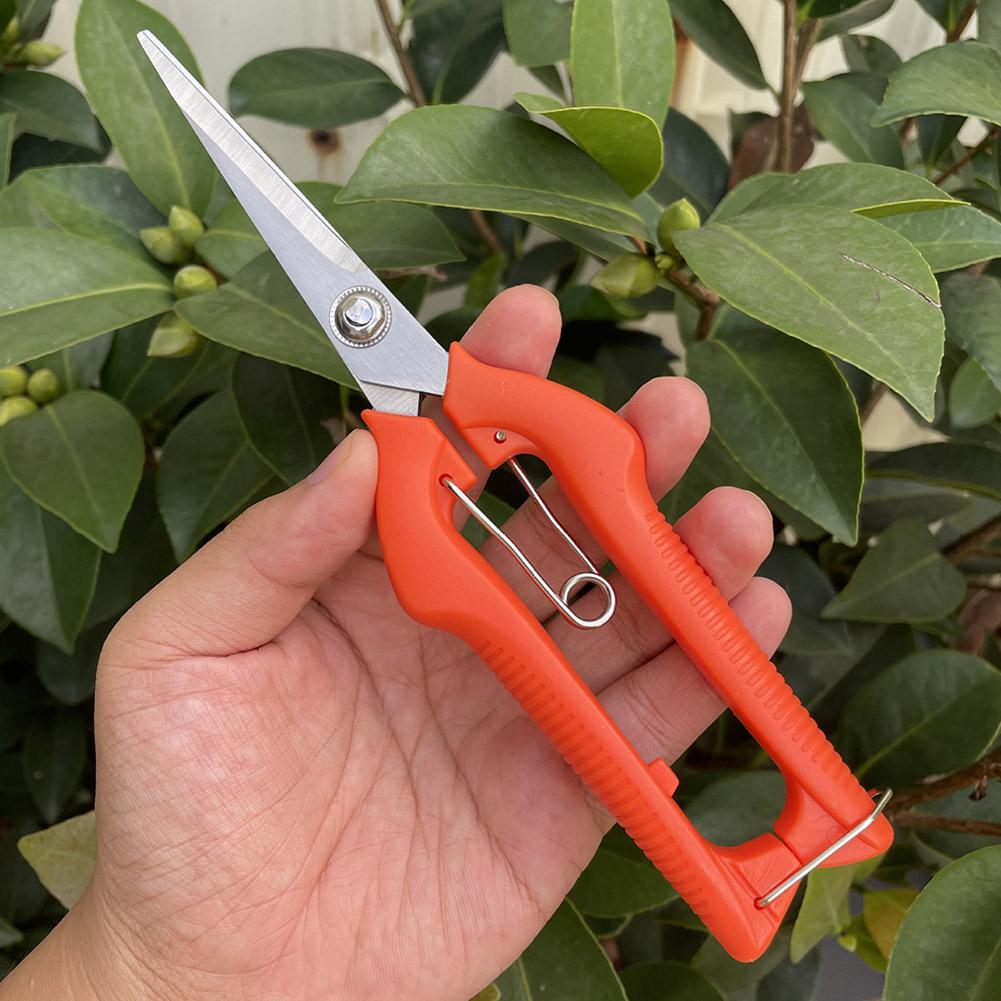 Pro Garden snoeischaar Verleng - Gardening Tools Scissors recensie en prijs