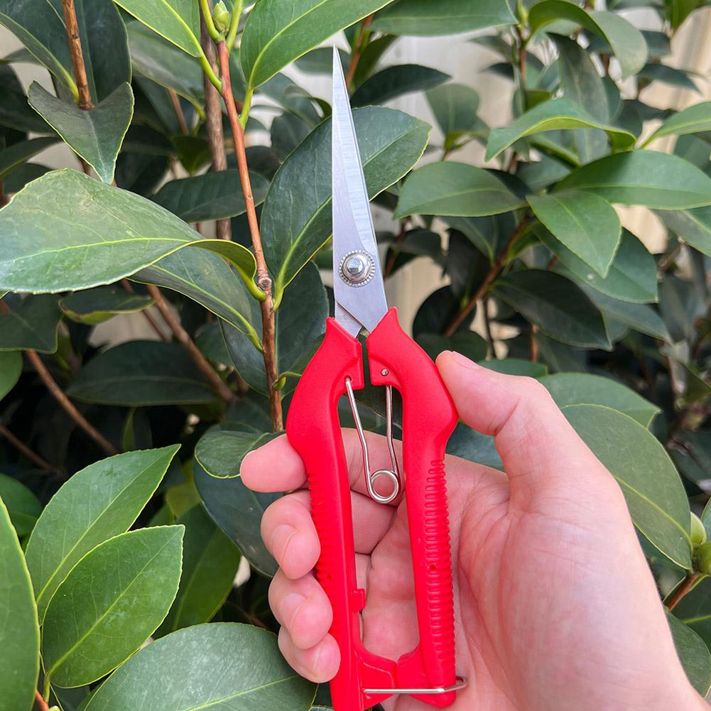 Pro Garden snoeischaar Verleng - Gardening Tools Scissors recensie en prijs