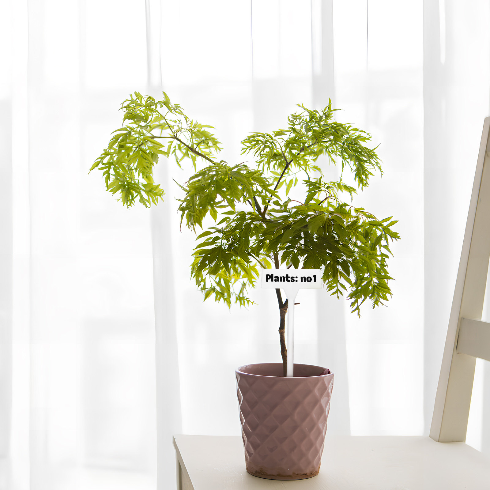 35 stuks plantenlabelstokjes,  - Gardening Tools With Names recensie en prijs
