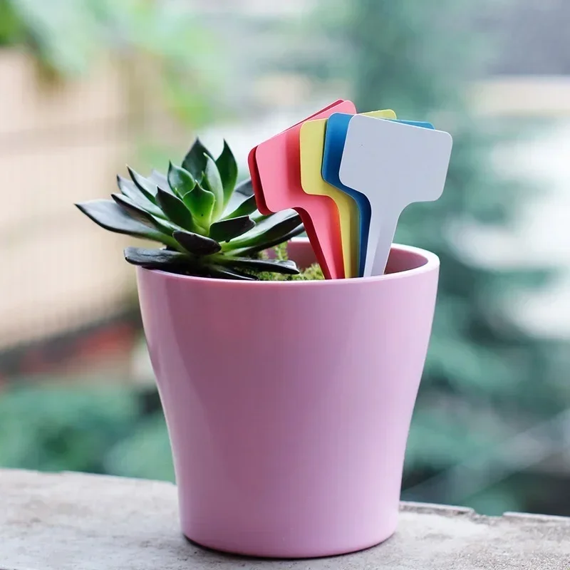20 stuks plastic waterdichte p - Gardening Tools With Names recensie en prijs