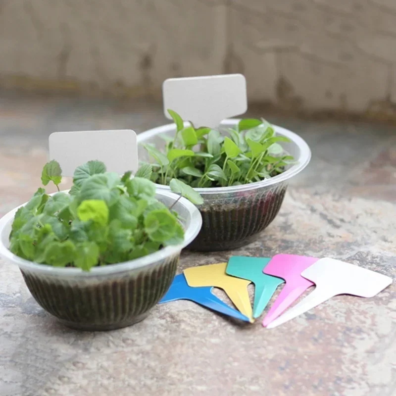 20 stuks plastic waterdichte p - Gardening Tools With Names recensie en prijs