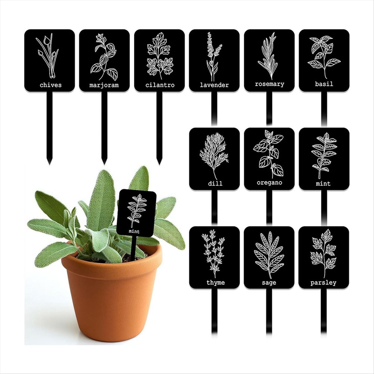 AA14 24 stuks acryl plantenlab - Gardening Tools With Names recensie en prijs