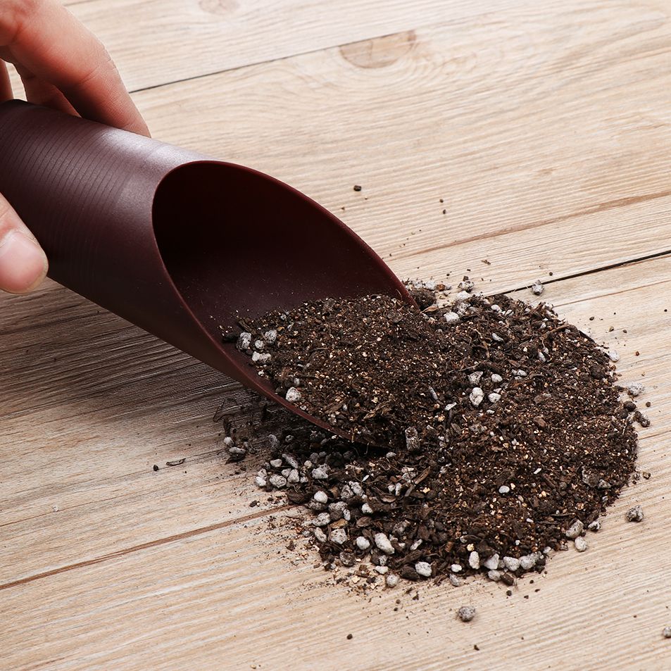 1 stuk plastic grondschepbeker - Gardening Tools Shovel recensie en prijs